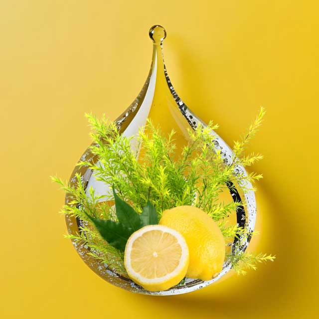 Easy DIY ‘Lemon Spritz’ cleaner recipe