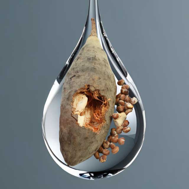 baobab-essential-oil.jpg