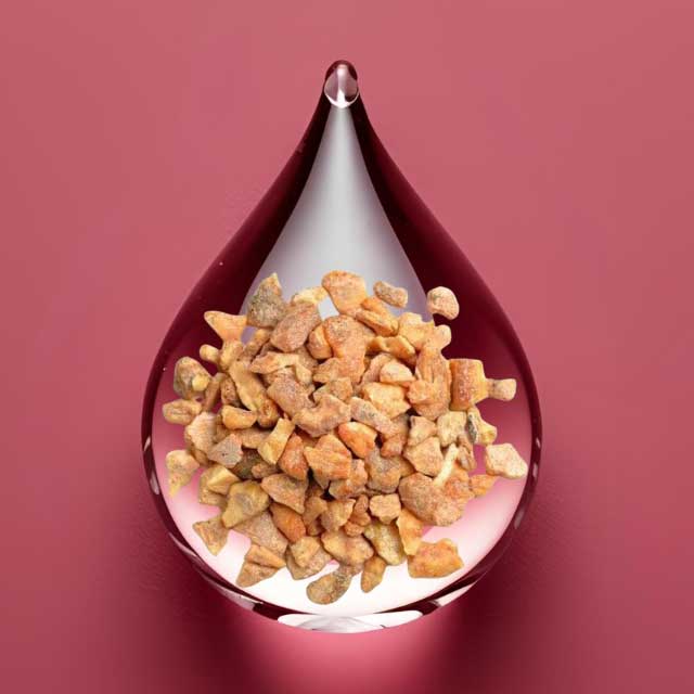 benzoin-essential-oil.jpg