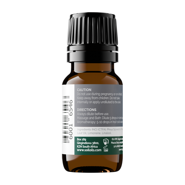 pine-essential-oils-10ml.png
