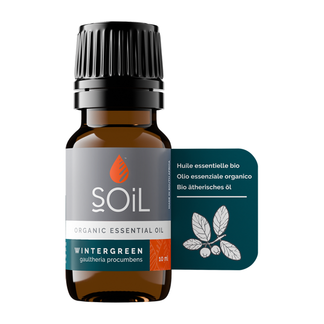 wintergreen-aromatherapy-essential-oil-10ml.png