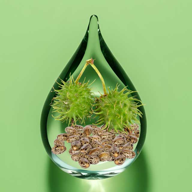 castor-essential-oil.jpg