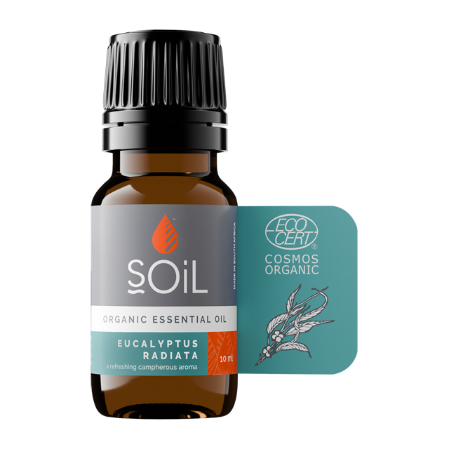 Eucalyptus radiata Essential Oil