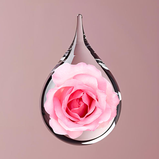 Facial Mist - Rose Blossom